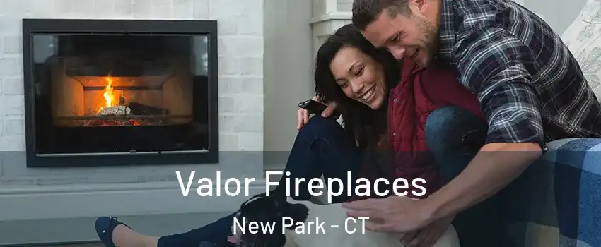 Valor Fireplaces New Park - CT