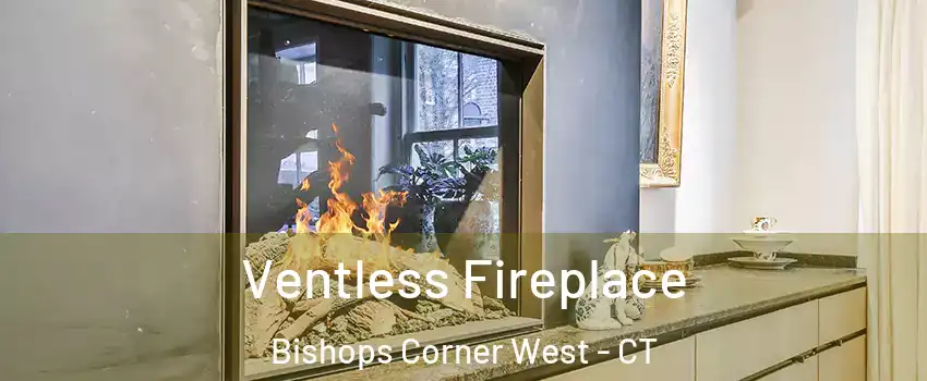 Ventless Fireplace Bishops Corner West - CT