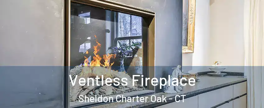 Ventless Fireplace Sheldon Charter Oak - CT