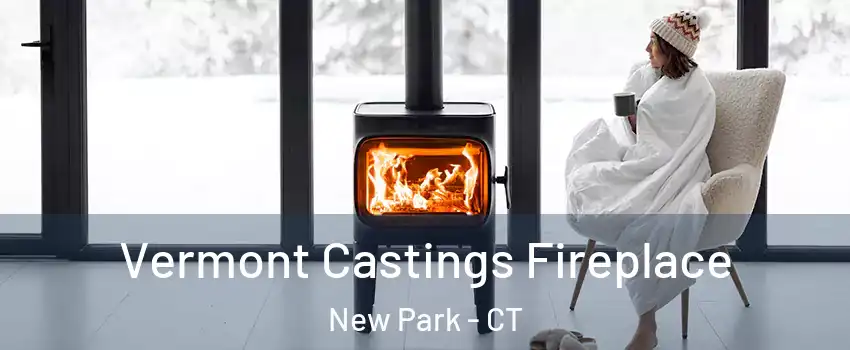 Vermont Castings Fireplace New Park - CT