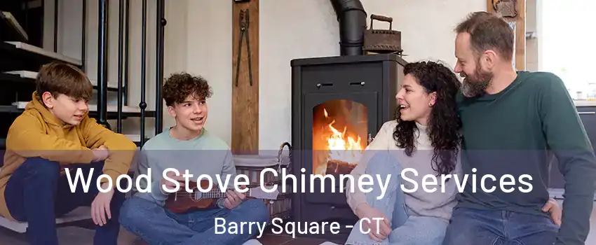 Wood Stove Chimney Services Barry Square - CT