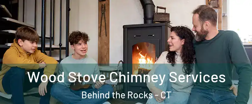 Wood Stove Chimney Services Behind the Rocks - CT
