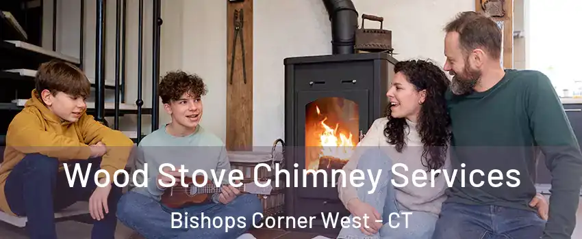 Wood Stove Chimney Services Bishops Corner West - CT