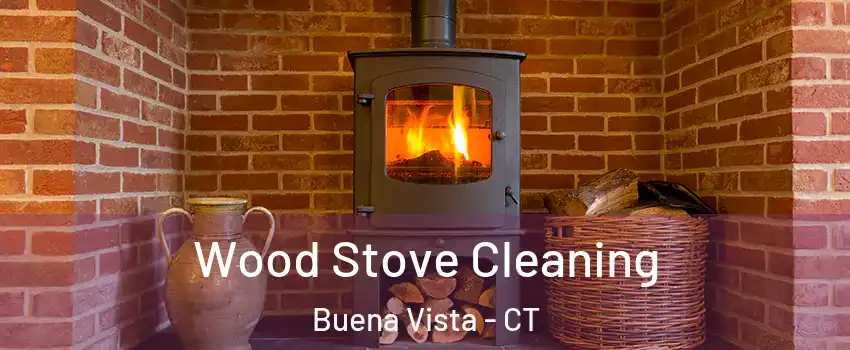 Wood Stove Cleaning Buena Vista - CT