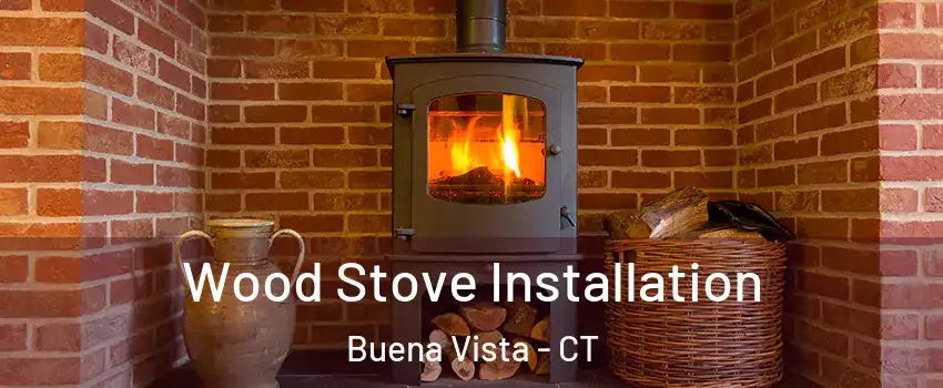 Wood Stove Installation Buena Vista - CT
