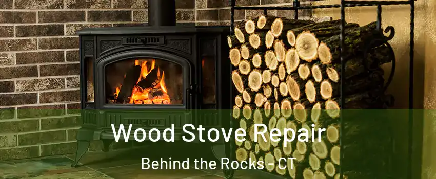 Wood Stove Repair Behind the Rocks - CT