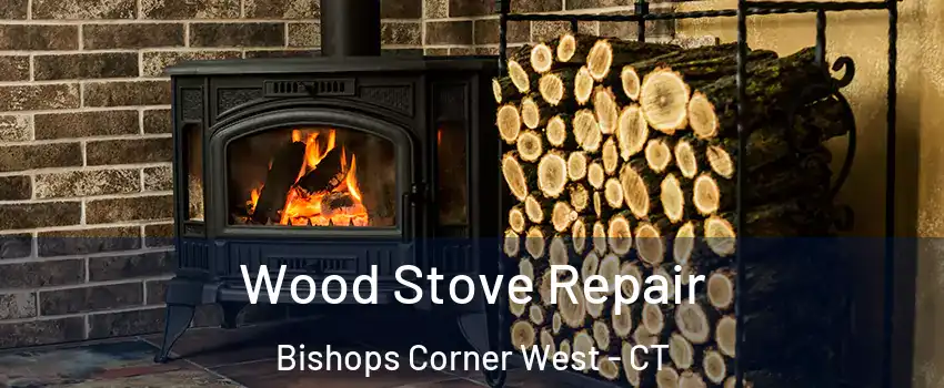 Wood Stove Repair Bishops Corner West - CT
