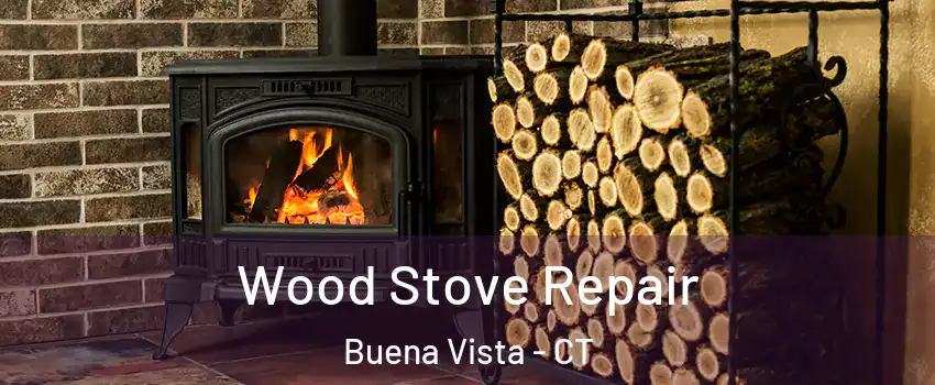Wood Stove Repair Buena Vista - CT
